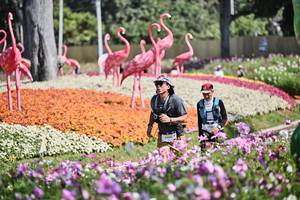 BIB: 
                            <button type="button" onclick="openModal(27794458)" class="btn btn-primary btn-sm float-right btn-popup" data-toggle="modal" data-target=".modal-high-quality">
                        <i class="fas fa-shopping-cart"></i> Add to Cart
                    </button>
                                            <button type="button" onclick="isThisMe(27794458, true)" class="btn btn-success btn-sm float-right btn-popup btn-isme hidden" data-toggle="tooltip" data-placement="bottom" title="นี่คือรูปของคุณใช่ไหม คลิกที่นี่เพื่อเอาเข้าอัลบั้ม">
                        <i class="fas fa-plus"></i> Add to album
                    </button>
                    <button type="button" onclick="isThisMe(27794458, false)" class="btn btn-warning btn-sm float-right btn-popup btn-isnotme hidden">
                        <i class="fas fa-ban"></i> Remove from album
                    </button>